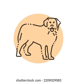 Bernese Mountain Dog color line icon. Dog breed. Pictogram for web page, mobile app, promo.