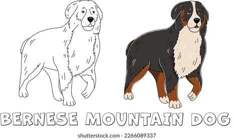 Bernese Mountain Dog cute vector outline cartoon illustration for coloring book isolated on white background