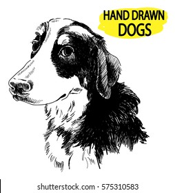 Bernese Mountain Dog. Drawing by hand in vintage style. Fluffy dog.