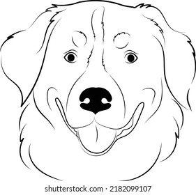 Bernese Mountain Dog Face Outline Isolated Vector Illustration