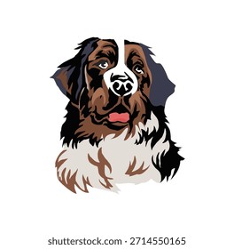 Berner Berg Hundekopfporträt. Schweizer Berner Sennenhund Welpe. Flache Vektorgrafik einzeln auf weißem Hintergrund.