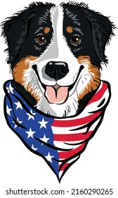 Bernese Mountain Dog Head Wearing Neck Bandana