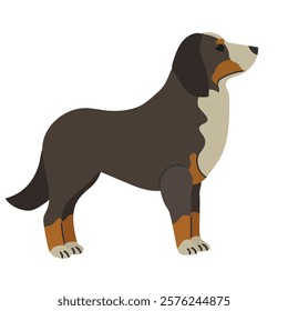 Bernese mountain dog icon clipart avatar logotype isolated illustration