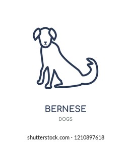 Bernese Mountain dog icon. Bernese Mountain dog linear symbol design from Dogs collection. Simple outline element vector illustration on white background.