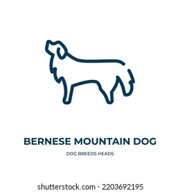 Bernese mountain dog icon. Linear vector illustration from dog breeds heads collection. Outline bernese mountain dog icon vector. Thin line symbol for use on web and mobile apps, logo, print media.