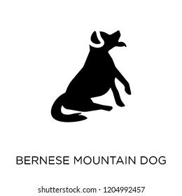 Bernese Mountain dog icon. Bernese Mountain dog symbol design from Dogs collection. Simple element vector illustration on white background.