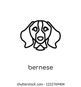 Bernese Mountain dog icon. Trendy modern flat linear vector Bernese Mountain dog icon on white background from thin line dogs collection, editable outline stroke vector illustration