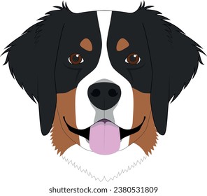 Bernese Mountain Dog isolated on white background vector illustration