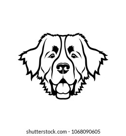 Bernese Mountain Dog - Isolated Vector Illustration