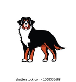 Bernese Mountain Dog - Isolated Vector Illustration