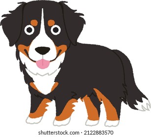 The Bernese Mountain Dog Is A Large Dog Breed, One Of The Four Breeds Of Sennenhund-type Dogs From The Swiss Alps. This Breed Was Originally Kept As A General Farm Dog.