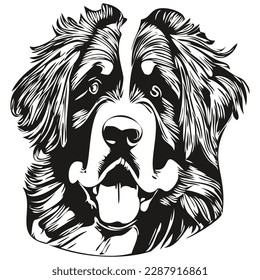 Bernese Mountain dog line art hand drawing vector logo black and white pets illustration
