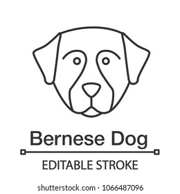 Bernese Mountain dog linear icon. Thin line illustration. Sennenhund dog. Contour symbol. Vector isolated outline drawing. Editable stroke