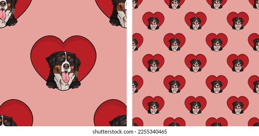 Berner Berg Hund mit Pfotenmuster, Valentinstag Herzmuschel. Liebes Herz mit Haustier-Urlaub-Textur. Hundewand mit Hundekartoon, quadratischer Hintergrund. Valentinstag-Tageszeitung.