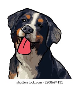 Bernese Mountain Dog Pet Colored Drawing