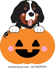 Perro de la montaña de Berna en calabaza halloween