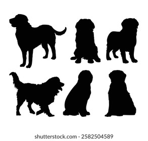 bernese mountain dog silhouette vector design set