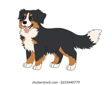 Bernese Mountain Dog de pé. Desenho animado bonito grande raça cão vetor ilustração. Lindo cão pastor preto, branco e vermelho, raça companheira. Clipart sobre fundo branco. Cachorro engraçado. 