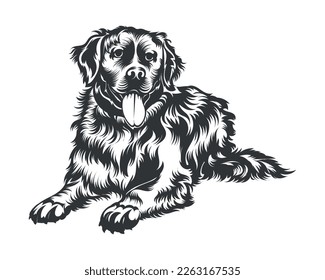 Bernese Mountain Dog Vector Illustration, Dog Vector Black on White Background