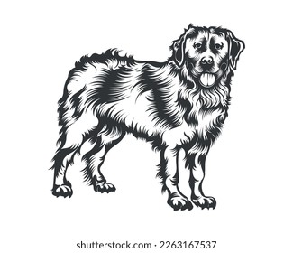 Bernese Mountain Hund Vektor Illustration, Hundevektor schwarz auf weißem Hintergrund