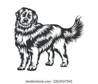 Ilustración del vector de perro de montaña de Berna, negro vector de perro de fondo blanco