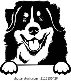 Bernese Mountain Hund Vektor Bild Peking Bernese Hunde Illustration