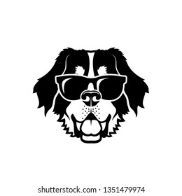 Bernese mountain dog wearing sunglasses - isolated vector illustration 