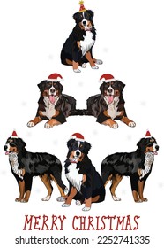 Bernese Mountain dogs wearing winter hats. Cute funny dogs. Abstract Christmas tree. Vector illustration. Merry Christmas greeting card with the cute funny dogs, holiday, purebred with happy eyes.