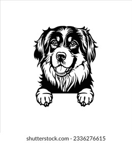 Bernese Mountain Peeking Dog Vector, Peeking Dog Cut File, Cricut Laser