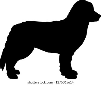 Bernese Mountain silhouette in black