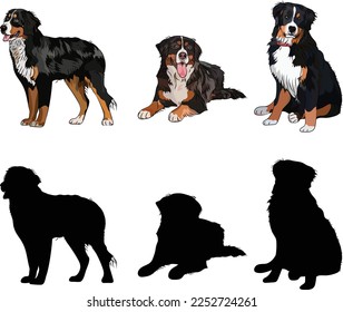 Berner Bergsilhouetten. Leg, sitzend, stehender Hund. Rutsche Hunde-Figuren in verschiedenen Posen, Design für Druck, süße Cartoon-Vektorset, in verschiedenen Posen. Ein Farbdesign. Berner Sennenhund.