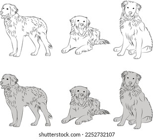 Bernese Mountain Skizze schwarz-weiß Zeichnung. Cute-Hund-Charakter in einer Sitzen- und Legestelle, Kunstdesign für den Druck. Cute Cartoon flach detaillierte Vektorsilberhund. Porträt von Haustieren. Berner Sennenhund