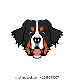 Bernese mountaing dog - isolated vector illustration