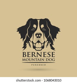 Bernese mountaing dog - isolated vector illustration