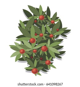 berries