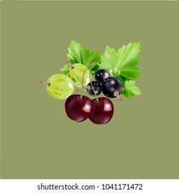 Berries 3d vector.