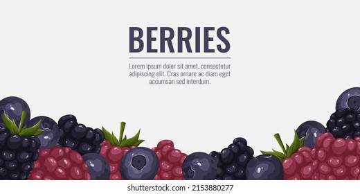 Berries Hintergrund mit Platz für Text. Blaubeere, Himbeere, Brombeere. Vektorgrafik von Sommervitaminen für Banner, Poster, Website-Design, soziale Medien