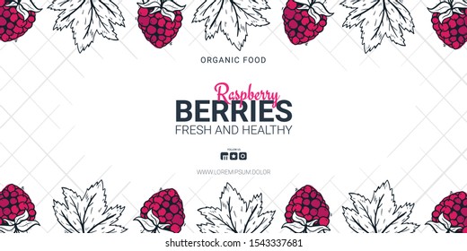 Berries banner with raspberries. Food design template with berry