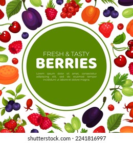 Berries banner template. Fresh ripe cherry, blackberry, strawberry, goodberry, dog rose and blueberry poster, card cartoon vecto
