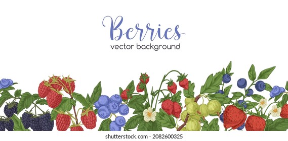 Berries border on white background. Banner with vintage botanical pattern. Backdrop with natural decoration of fruit plants, bilberry, blackberry and strawberry branches. Drawn vector illustration