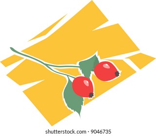  berries with branch	