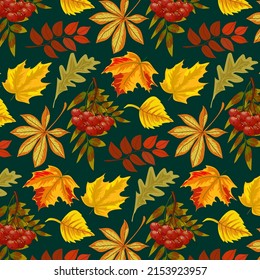 Berries and bright autumn leaves.Vector pattern with berries and autumn leaves on a colored background.