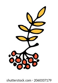 berries in a bunch of mountain ash in a flat style. hand-drawn ROWAN red berries with a yellow leaf in the doodle style, isolated on a white background for a label design template, packaging