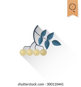 Berries Bunch of Viburnum. Single Flat Autumn Icon . Simple and Minimalistic Style. Vector