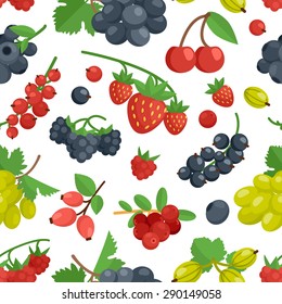 Berries cherry grape currant rosehip and other color seamless ornament vector illustration
