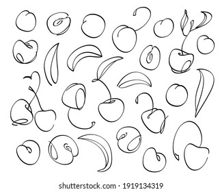 Berries cherry sweet on a white background. Contour draw. Vector illustration. Big set of elements for design