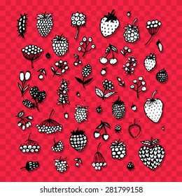 Berries collection, sketch for your design. Vector illustration