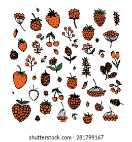 Berries collection, sketch for your design. Vector illustration