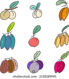 conjunto de ilustraciones vectoriales coloridas de bayas