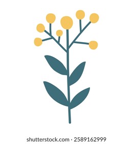 Berries. Cute illustration, vector, color, simple. Cartoon, flat. Isolated on white background
